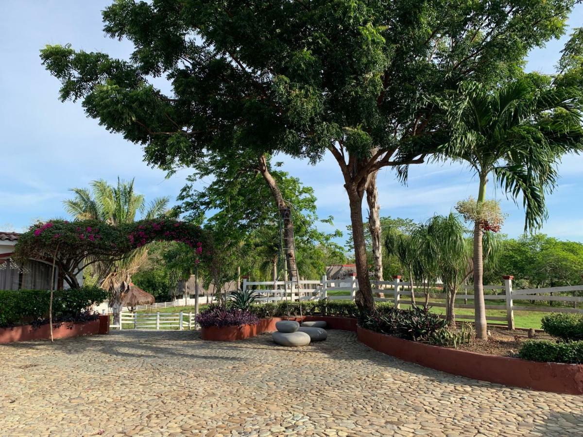 Boca Brava Paradise Bed and Breakfast Boca Chica Eksteriør billede